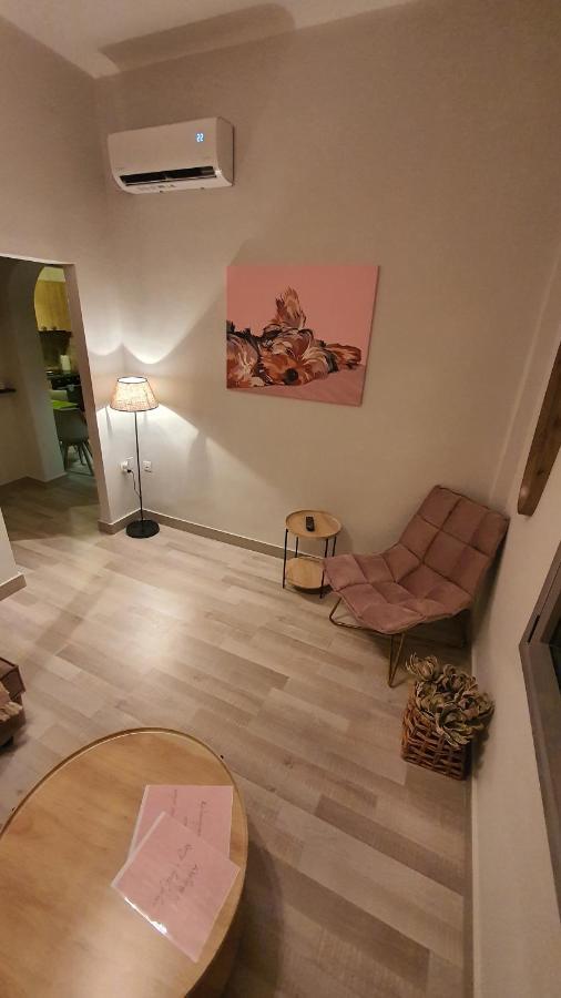 Larry's Little Place In The Center Of Apartment *